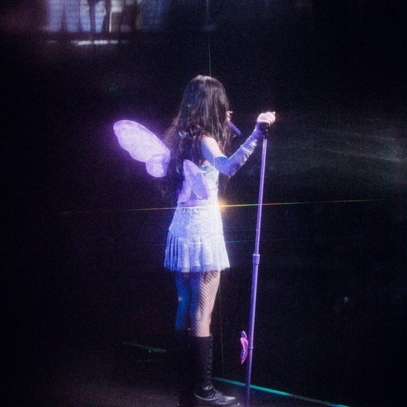 Meet your Posher, Addy - Picture 1 of 1